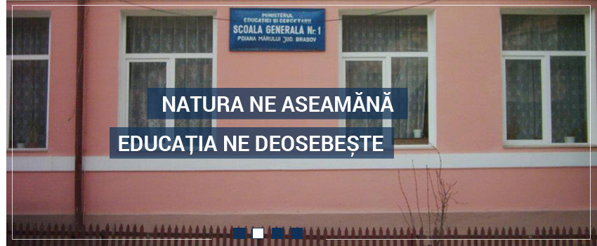 Școala Gimnazială nr. 1 - Poiana Mărului